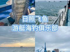 -日照海滨国家森林公园