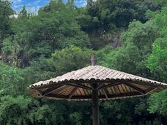 -宁波野生动物园
