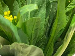 -龙泉人椰子鸡.糟粕醋.海南菜(三亚旗舰店)