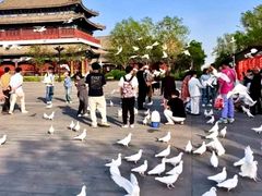 -天津妈祖文化园