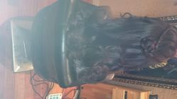 -Grace studio