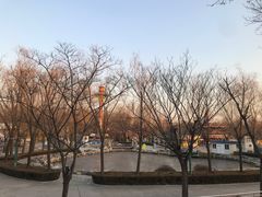 -朝阳公园游乐园