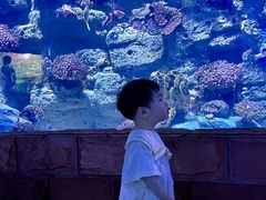 -左海海底世界