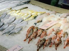 -海中洲渔社