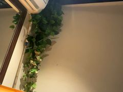 -理療君·古法推拿•姜疗•SPA馆(东门店)