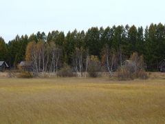 -塞罕坝国家级自然保护区