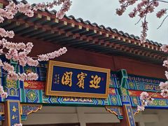 -桃花堤公园
