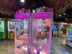 -卡通尼·Safari非洲探索乐园·生日会(金桥国际商业广场店)