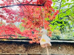 -兰亭风景区