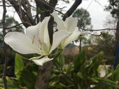 -清远熹乐谷温泉度假酒店