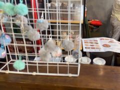 -丰乐餐厅·始于1999·本地老字号