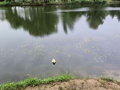 -西安浐灞国家湿地公园