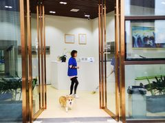 -伟伟宠物医院·瑞派猫友好医院·猫科(光谷店)