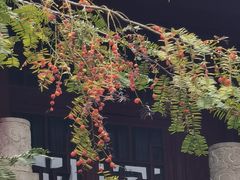 -南岳明心寺