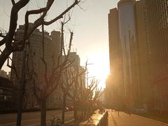 -上海锦江汤臣洲际大酒店柒酒廊
