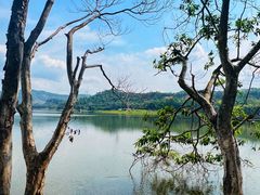 -凤岗南门山森林公园