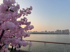 -蠡湖大桥公园