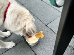 -Shake Shack(南山万象天地店)