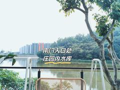 -火炉山森林公园