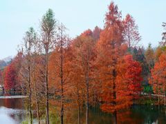 -上海证券交易所(上海证券大厦北塔店)