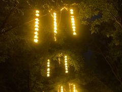 -万泉公园
