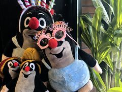 -布拉格餐厅· 中欧捷克菜(全国首店)