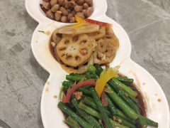 -朱记乳鸽王·非遗石岐乳鸽·全鸽宴(大兴旗舰店)