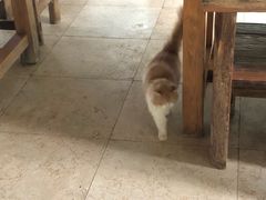 -龙达温泉生态城