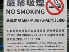 -九龙公园