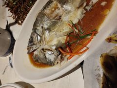 -锦上中式酒馆(南内环店)