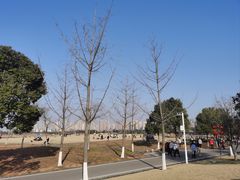 -洋湖国家湿地公园