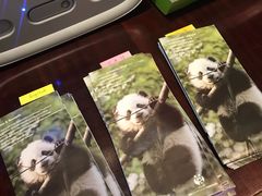 -成都保利公园皇冠假日酒店(熊猫基地店)