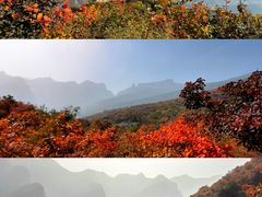 -周口店坡峰岭风景区