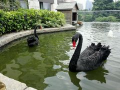 -南京圣和府邸豪华精选酒店