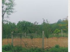 -嵖岈山风景区