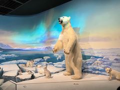 -陕西自然博物馆