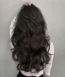 -FINE HAIR 烫染专业设计