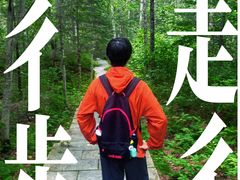 -汤旺河林海奇石景区