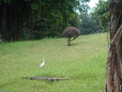 -福建鲤鱼洲酒店