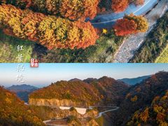 -秦岭风景区