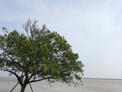 -观潮胜地公园