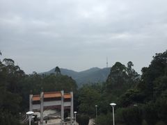 -大雁山风景区