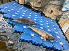 -华夏文旅西安度假区