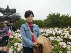 -曹州牡丹园