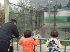 -五龙山野生动物王国