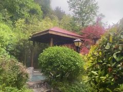-麦积山温泉
