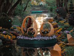 -上海共青森林公园