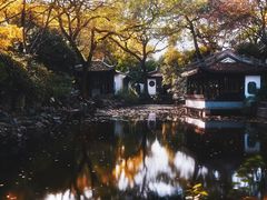 -秋霞圃
