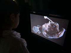 -同济大学四平路校区深海探索馆