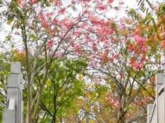 -四海公园(南山区)